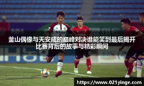 Bsports官网