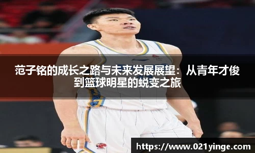 Bsports官网